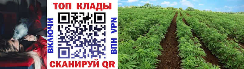 Купить закладку Волоколамск Гашиш Cocaine Мефедрон