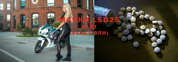 ГАЛЛЮЦИНОГЕННЫЕ ГРИБЫ Вязники