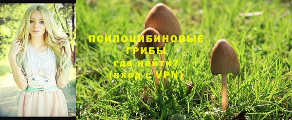 бутират Тихвин
