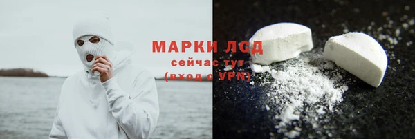гашик Вязьма