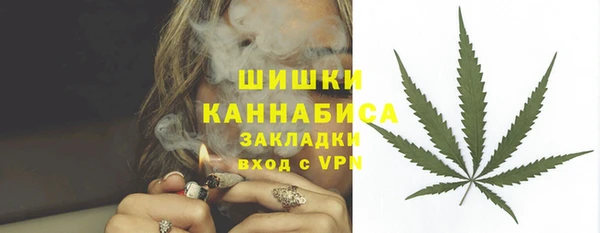 гашик Вязьма