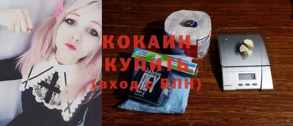 гашик Вязьма